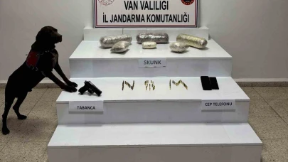Uyuşturucu, tabanca, mermi… Van'da yok yok!