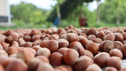 Rekabet Kurumu'ndan Ferrero'ya fiyat baskılama girişimi suçlaması!