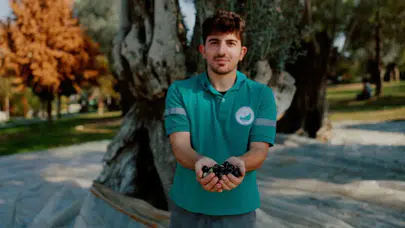 Belediyenin zeytin hamlesi kentte merak uyandırdı!