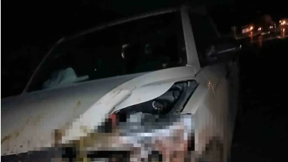 Kamyonet sürüye çarptı: Elazığ’da feci anlar kamerada!