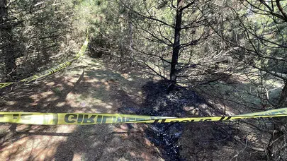 Gürcistan’da ölüm sessizliği! Ormanda Türk vatandaşına kanlı tuzak