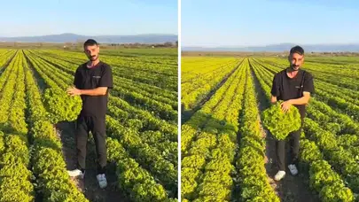Marul çiftçisi 'Satarsam şerefsizim' diye video çekmişti yargı mesajı aldı cevabı yapıştırdı!