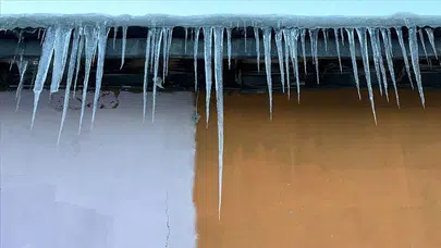 Karsta hayat dondu! Buz gibi gerçek kamerada