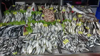 Karadeniz’de bu yılın sürpriz balığı belli oldu