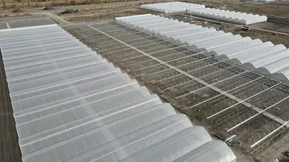 Doğu Anadolu'nun en büyük toplu sera alanı kuruluyor