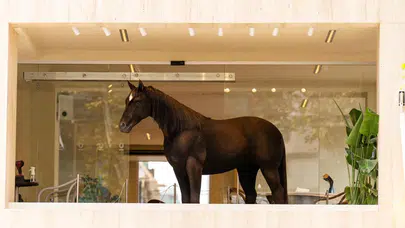 Jurassic Park teknolojisi İstanbul’da: Espressolab’den animatronik at sürprizi