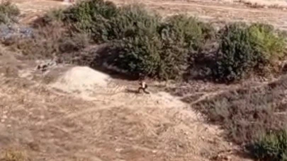 Cezası yetmedi, üstüne aksiyon filmi de çekti! Nefes kesen kovalamaca anbean kamerada...