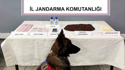 Kimyagerliğe soyunan ikiliye jandarma gerçekleri hatırlattı!
