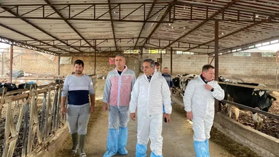 Aydın’da şap hastalığına karşı rekor aşılama hamlesi!