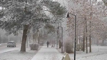 Erzurum ile Ardahan'da sis ve soğuk hava etkili oldu