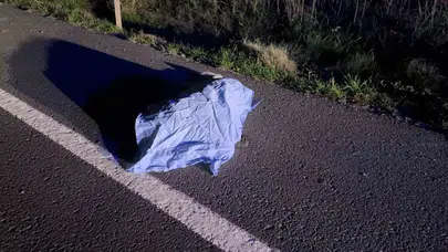 Gece yarısı yol kenarında hareketsiz bulundu: Gerçek çok geç anlaşıldı!