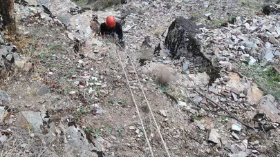 Sarp kayalıklarda sıkışan keçiler için zorlu itfaiye müdahalesi sonuç verdi!
