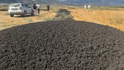 Arıtma çamurunu açık araziye dökene rekor ceza