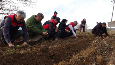 Köylerde üretim yeniden canlanıyor: Kadınlar dağıtılan fidelerle toprağa umut ekiyor