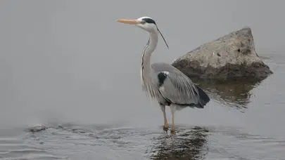 İnegöl’de doğa yürüyüşü beklenmedik kurtarma operasyonuna dönüştü!
