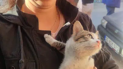 Saniyeler içinde büyüyen yangın: Yavru kedi mahsur kaldı