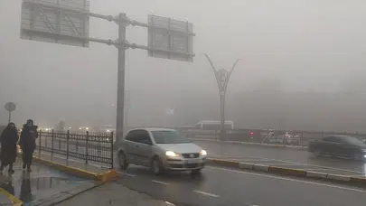 Şanlıurfalılar gördükleri manzarayla adeta şoke oldu! Kızıltepe’de şaşırtan olay...