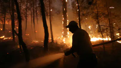 Bozdoğan’da ormanlık alanda yangın çıktı: Ekipler bölgeye sevk edildi!