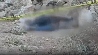 Zeytin çektirdikten sonra yola çıktı, bir daha eve dönemedi