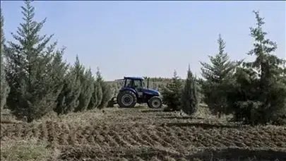 Türkiye'de sayıları 136'ya ulaşan ekoturizm alanları yıllık 2 milyar lira katkı sağlıyor