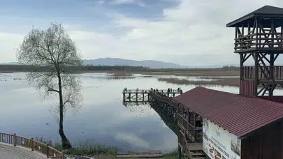 Efteni Gölü’nde tedirgin eden görüntü: Su yüzeyi fokurdamaya başladı!