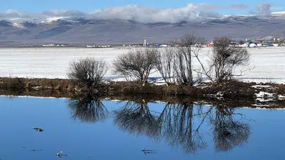 Kar sonrası şiddetli soğuk: Doğu Anadolu dondu!