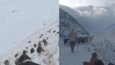 Ağrı’da tipi alarmı! Köy yolları kapandı, köylüler sürü peşine düştü