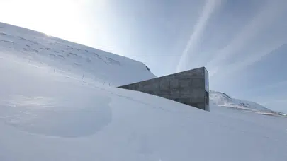 İstanbul Modern’de ücretsiz sanat günü: 12 film, 1 söyleşi, 1 usta belgesel!