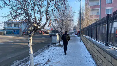 Soğuk hava Doğu’da dereleri dondurdu, yollar buz tuttu!