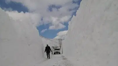 Bitlis’te eğitime zorunlu ara! Valilikten son dakika açıklaması