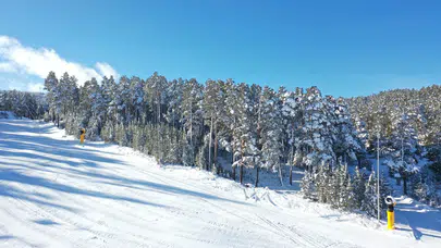 Kar yağışı Sarıkamış’ta doğayı beyaza boyadı