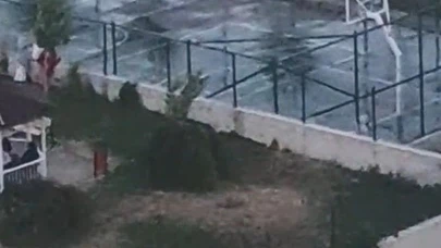 Ağızlıksız pitbull, bebek yüzüne saldırdı! O görüntüler gerçeği gözler önüne serdi...