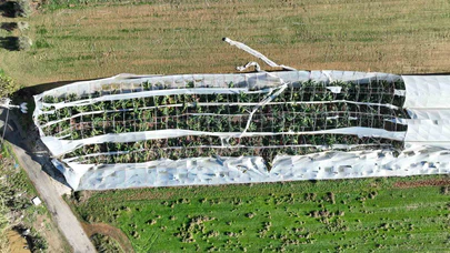 Hasarın boyutu üreticiyi endişelendirdi... Antalya’da hortum seraları yerle bir etti!