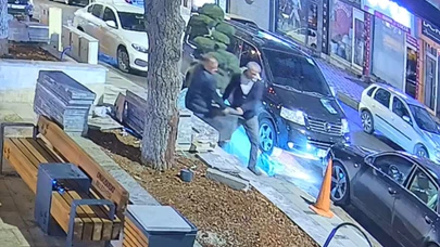 Pes dedirten hırsızlık: Kahramanmaraş'ta parktaki ağacı bile çaldılar!