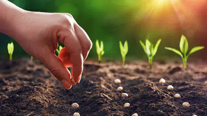 Destekler organik tarım üretimini artırdı