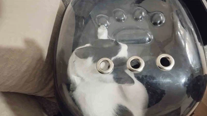 Kedi havalandırma boşluğuna düştü: Kayseri’de itfaiyeden ‘Tofu’ operasyonu!