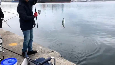 L İskele’de palamut mesaisi: Amatör balıkçılar kova doldurdu!