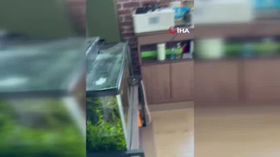 Japonya’yı korkutan sarsıntı: Tsunami uyarısı verildi!