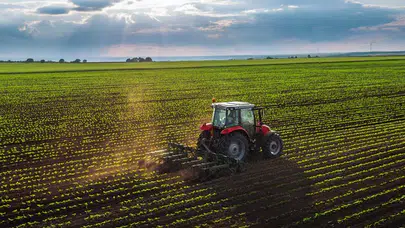 Mardin’de yerli tohum hamlesi: Yıldız tarım üretimi bölgeye yeni güç katıyor!