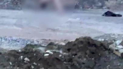 Köprü altındaki o görüntü herkesi korkuttu!