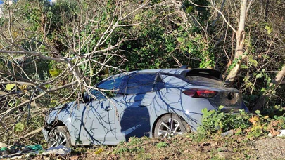 Sinop’ta bahçe duvarı yetmedi, otomobil soluğu ağaçlıkta aldı!