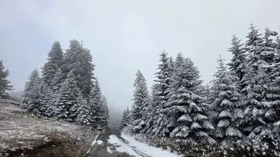 Doğu Karadeniz’e kış çöktü...Rize ve Artvin’in yaylaları beyaza büründü!
