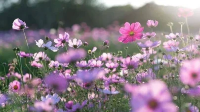 Baharın Ateşi Cemre Düşüyor! 2025’te İkinci ve Üçüncü Cemre Hangi Gün Havaya, Suya ve Toprağa Düşecek?