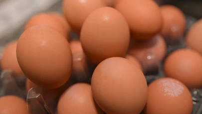 Kuş gribi salgını yumurta fiyatlarını fena vurdu