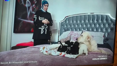 Kızılcık Şerbeti Sahnesi Olay Yarattı! Köpeklerden Hastalık Bulaşır mı? Sağlık Bakanlığı'ndan Açıklama Geldi
