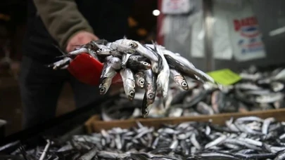 Sibirya soğukları hamsiye yaradı: İşte güncel balık fiyatları