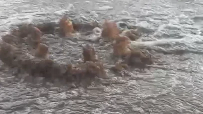 Bakanlık acımadı! İzmir Büyükşehir Belediyesi'ne çevre kirliliği cezası