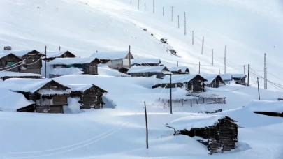 Doğu'da Soğuk Hava Felaketi: Hangi İller Dondu?