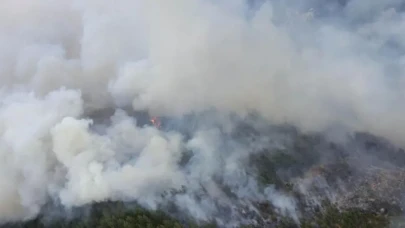 Arjantin'deki yangınlarında 37 bin hektarlık alan kül oldu