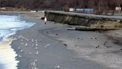 Deniz Çekilince Kaç Gün İçinde Deprem Olur? Denizin Geri Çekilmesi Neyin İşareti?